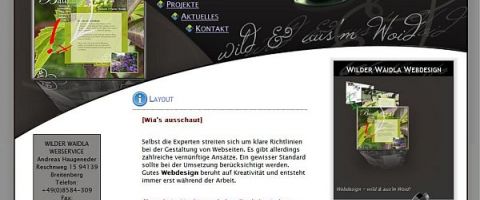 Webdesign Passau